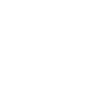 MADAME MARIUS I Événements à Tours